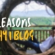 reasons to blog this year